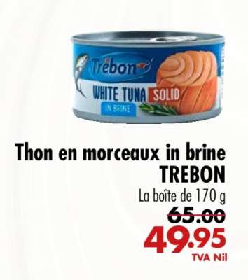 Thon en morceaux in brine TREBON