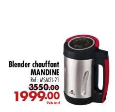 Blender chauffant MANDINE