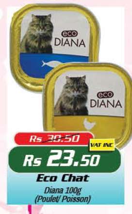 Eco Chat