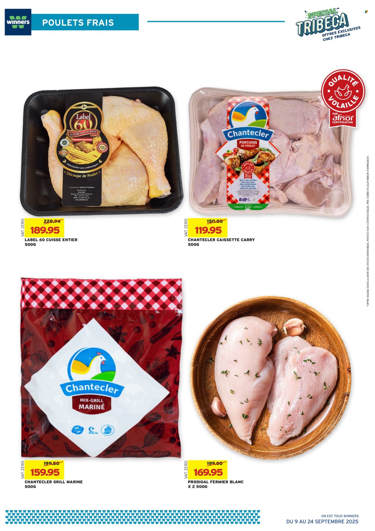 Catalogue Winners - 09/09/2025 - 24/09/2025. Page 8