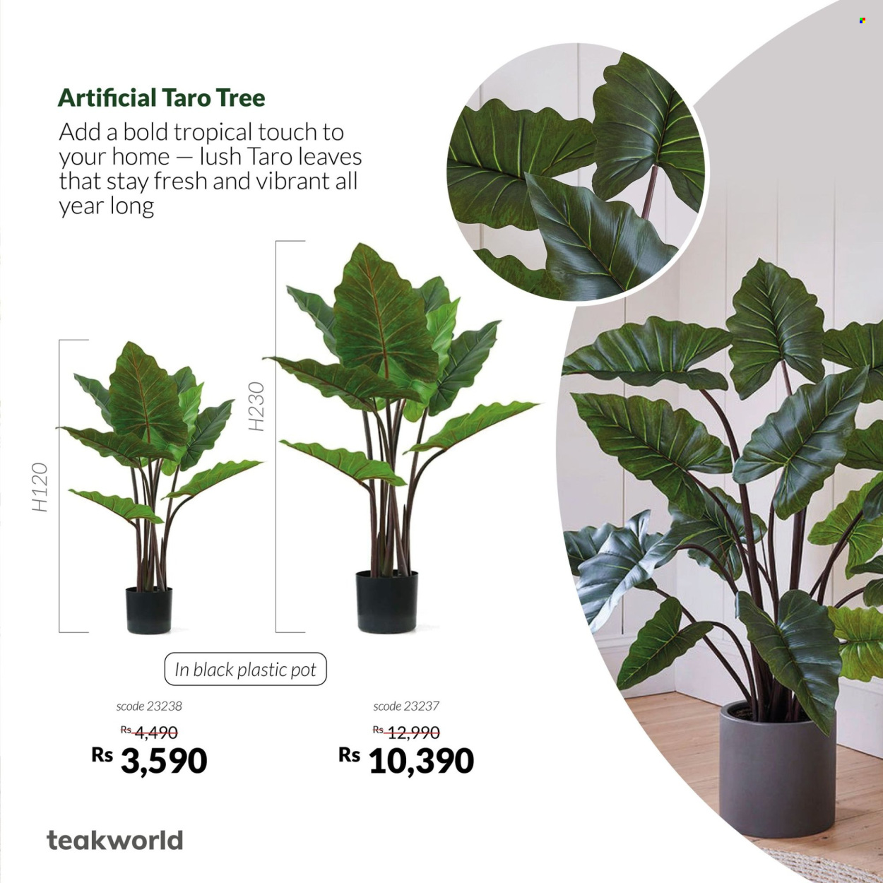 Catalogue Teak World. Page 4