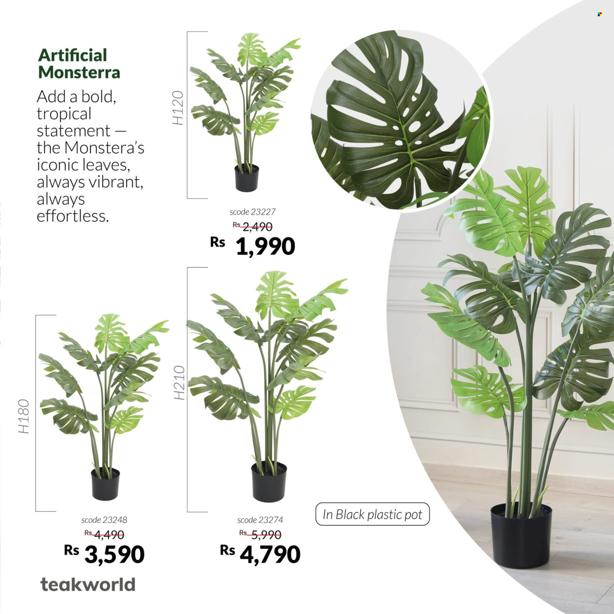 Catalogue Teak World. Page 7