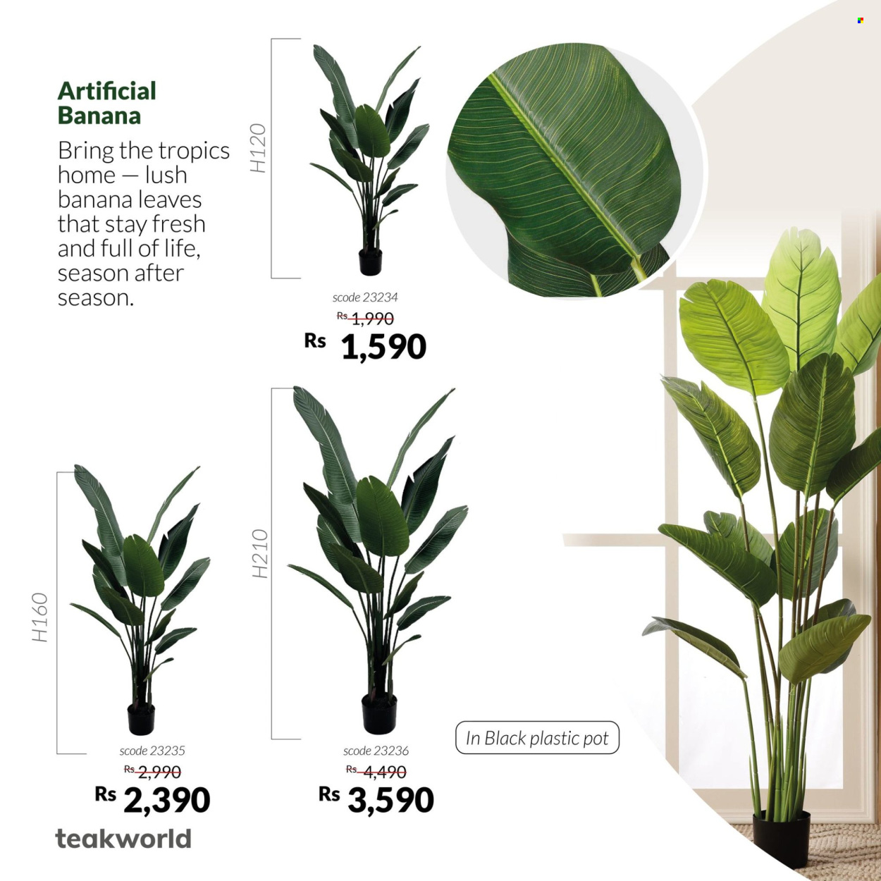 Catalogue Teak World. Page 8