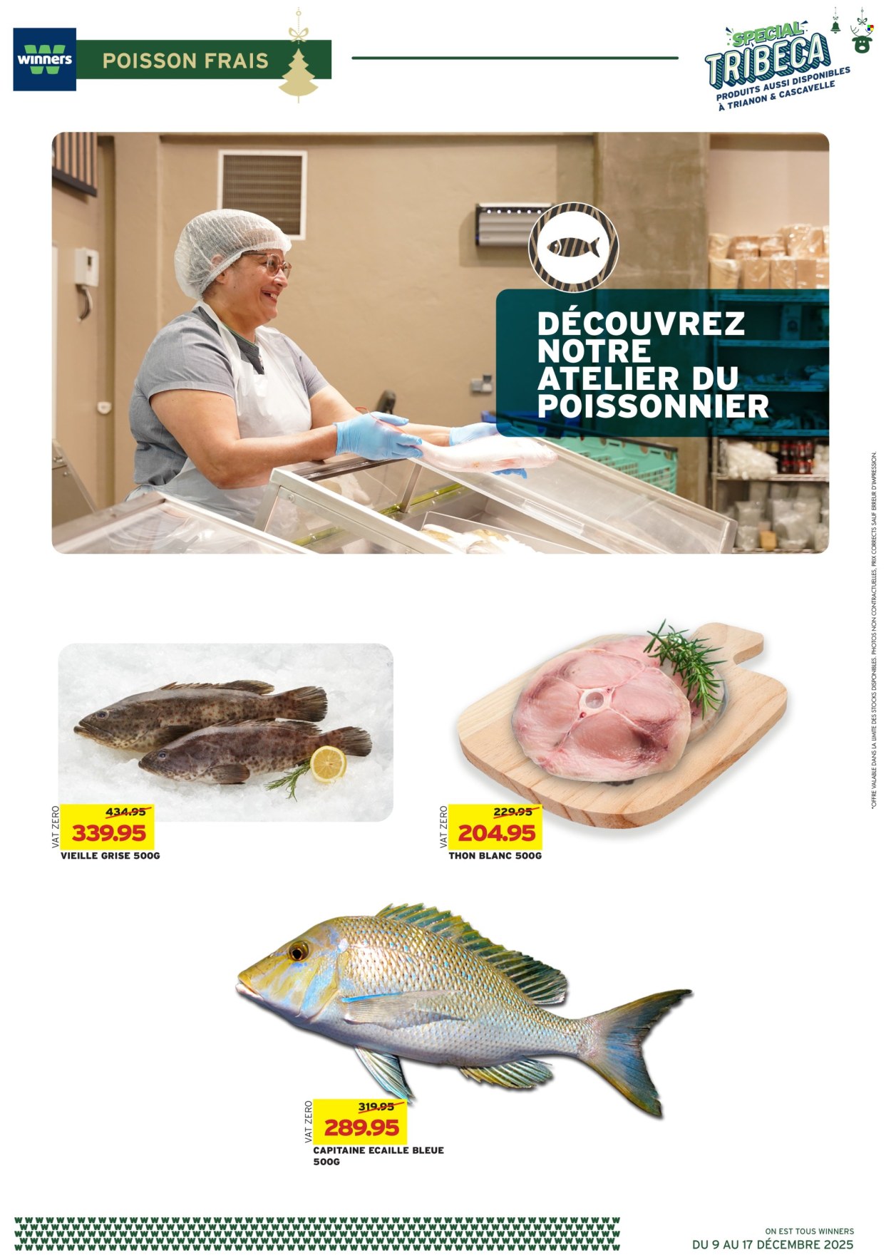 Catalogue Winners - 09/12/2025 - 17/12/2025. Page 19