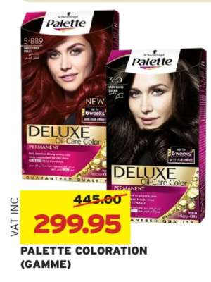 PALETTE COLORATION (GAMME)