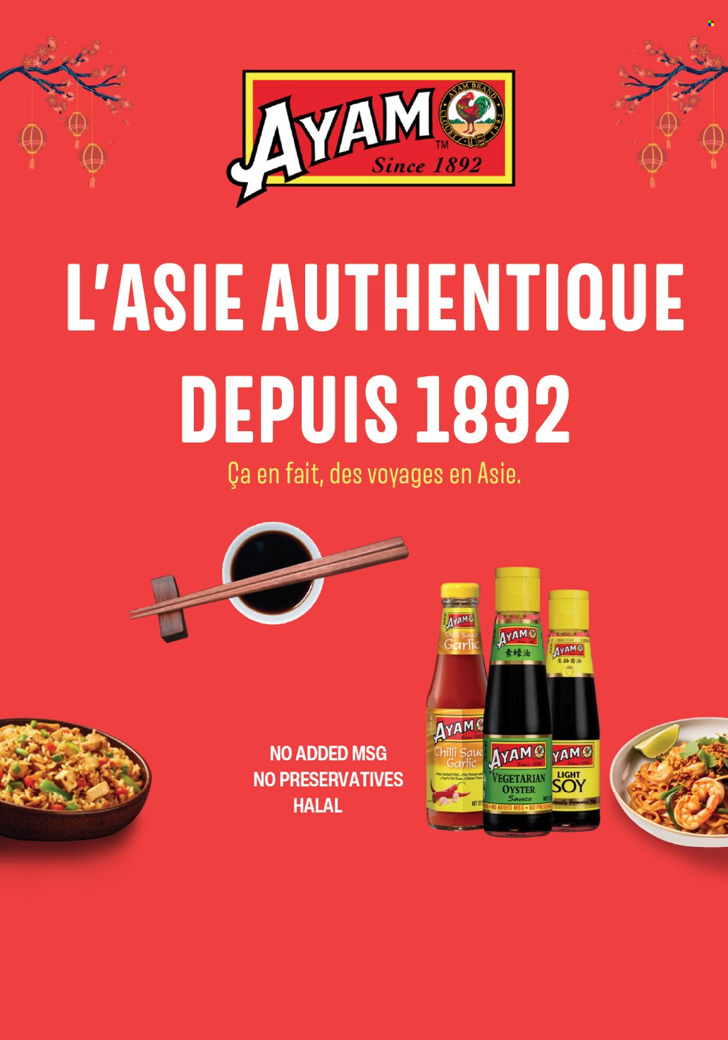 Catalogue GSR - 21/01/2026 - 17/02/2026. Page 3