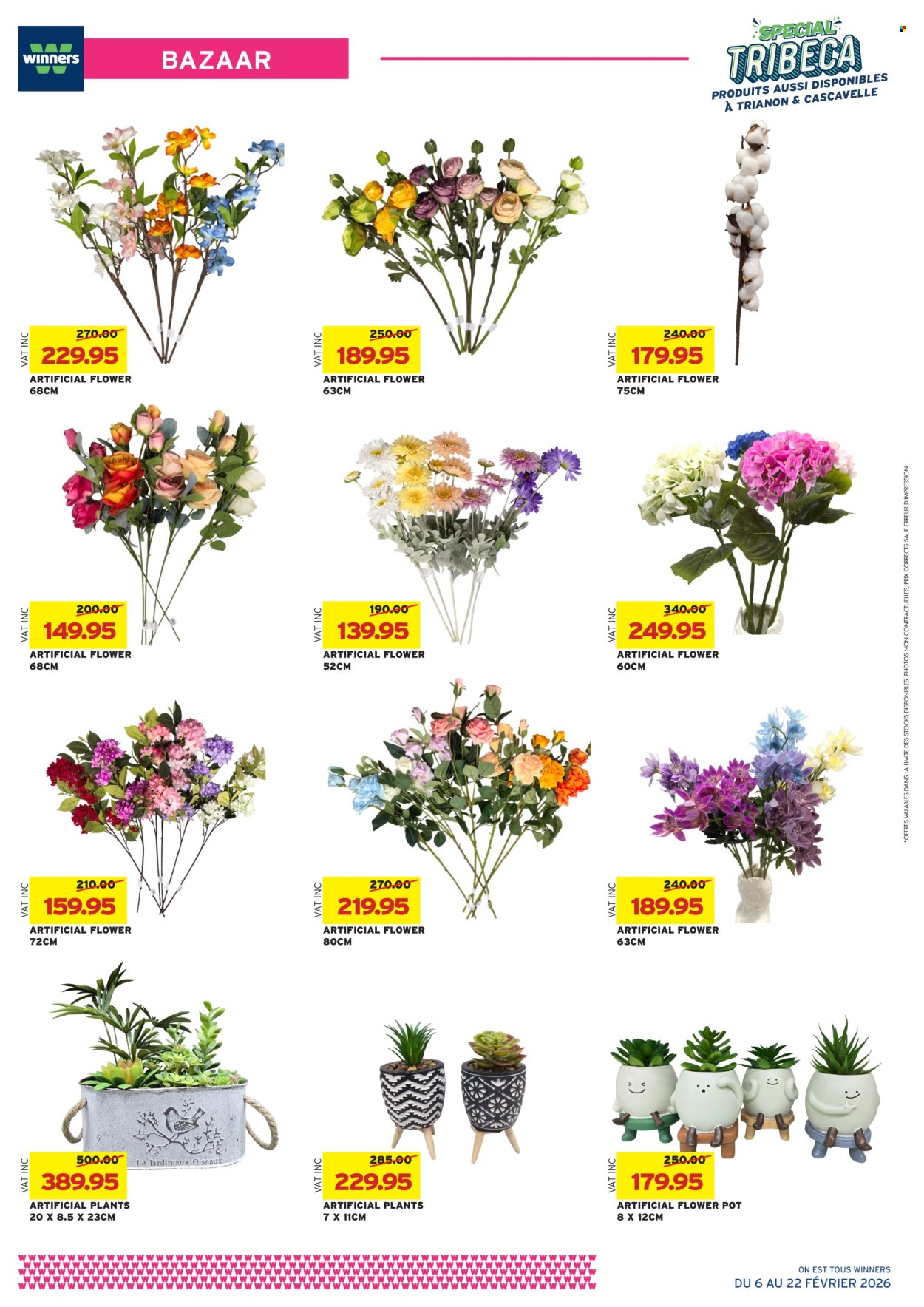 Catalogue Winners - 06/02/2026 - 22/02/2026. Page 2