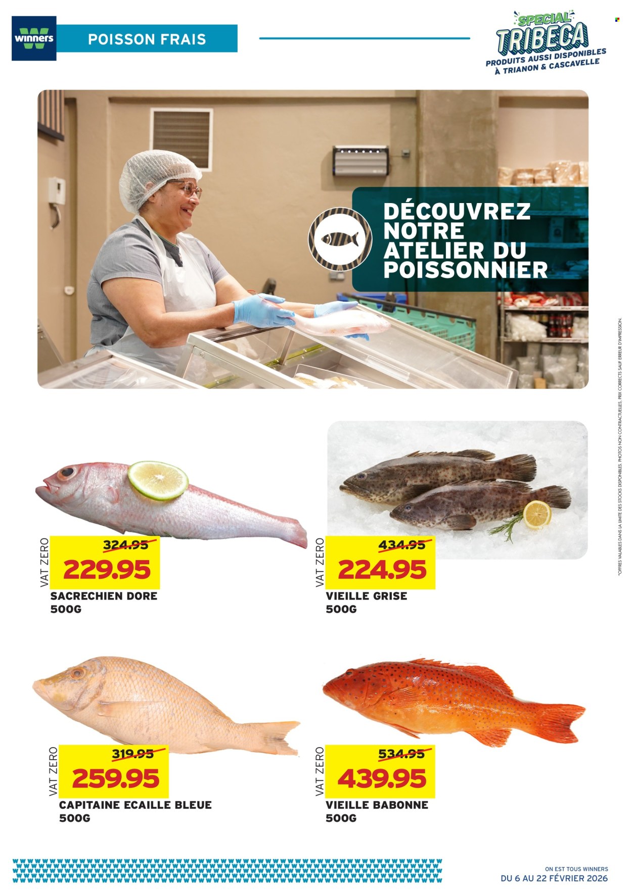 Catalogue Winners - 06/02/2026 - 22/02/2026. Page 11