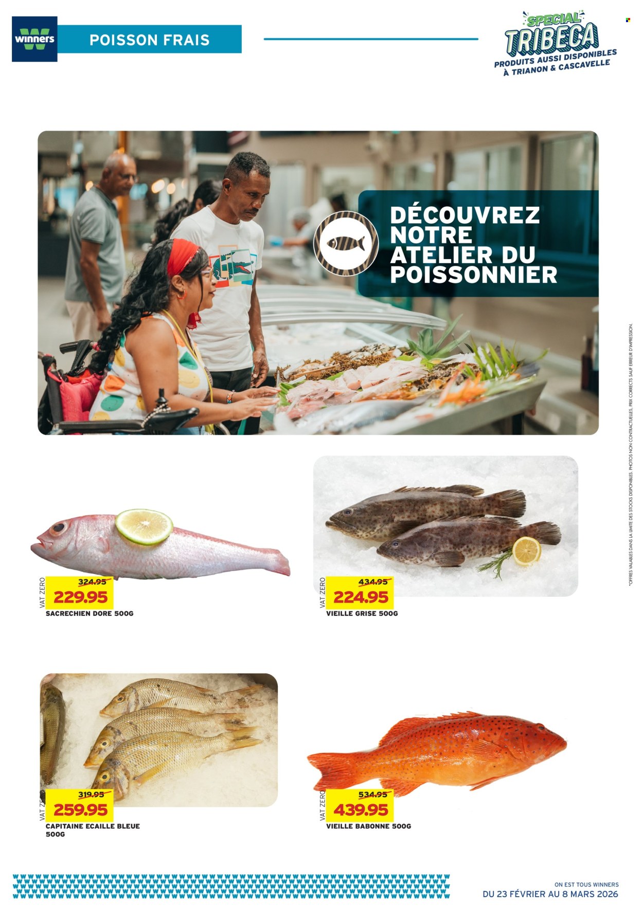 Catalogue Winners - 23/02/2026 - 08/03/2026. Page 11