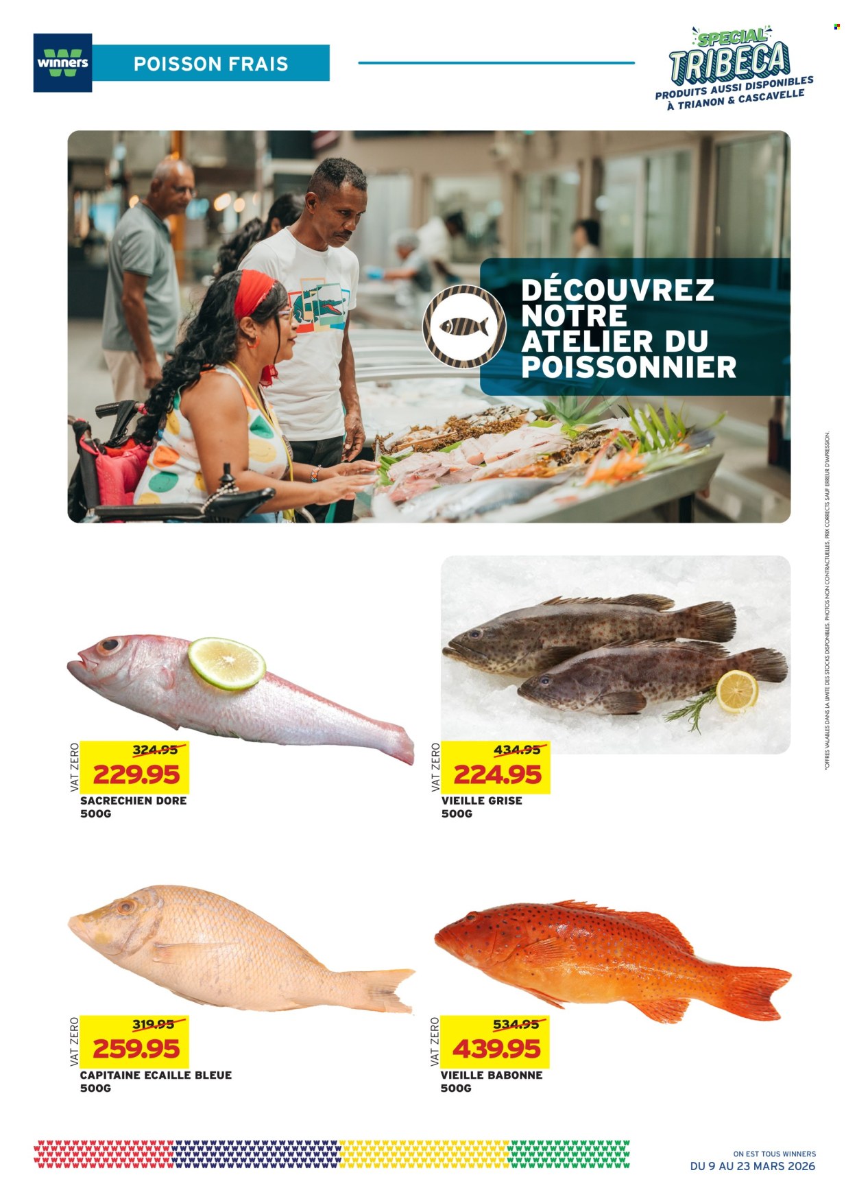 Catalogue Winners - 09/03/2026 - 23/03/2026. Page 12