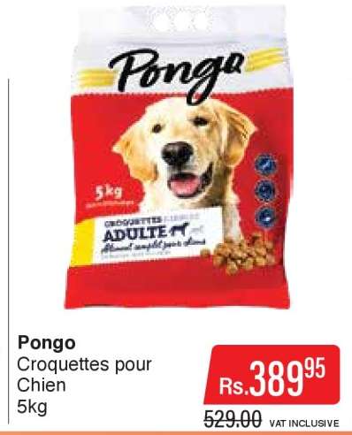 Pongo