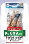 SAVEUR MARINE